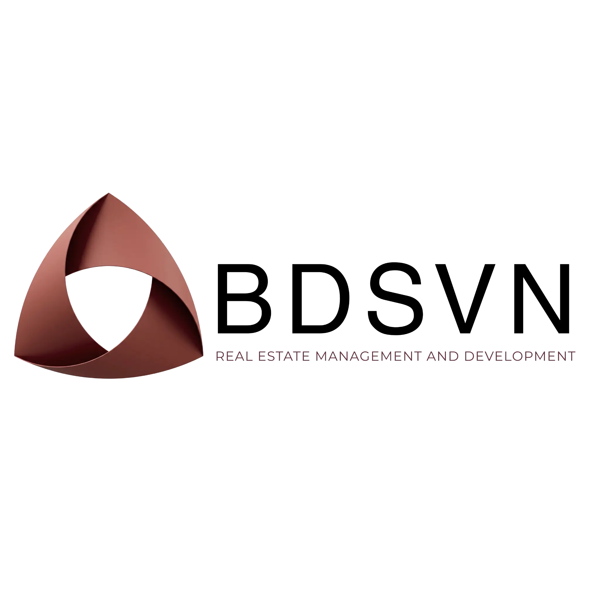 BDSVN Logo